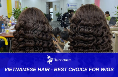 Why Is Vietnamese Hair the Best Choice for Wigs?